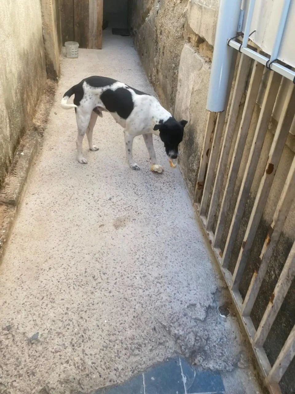 Doação - Foto 3