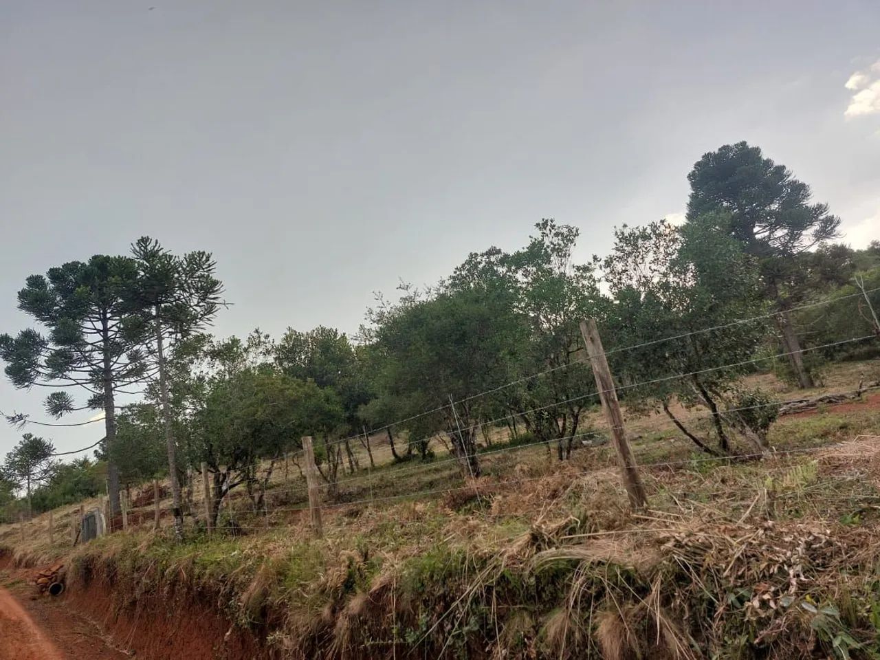 TERRENO LAGES +3500M² PRONTO PARA CONSTRUIR - Foto 2
