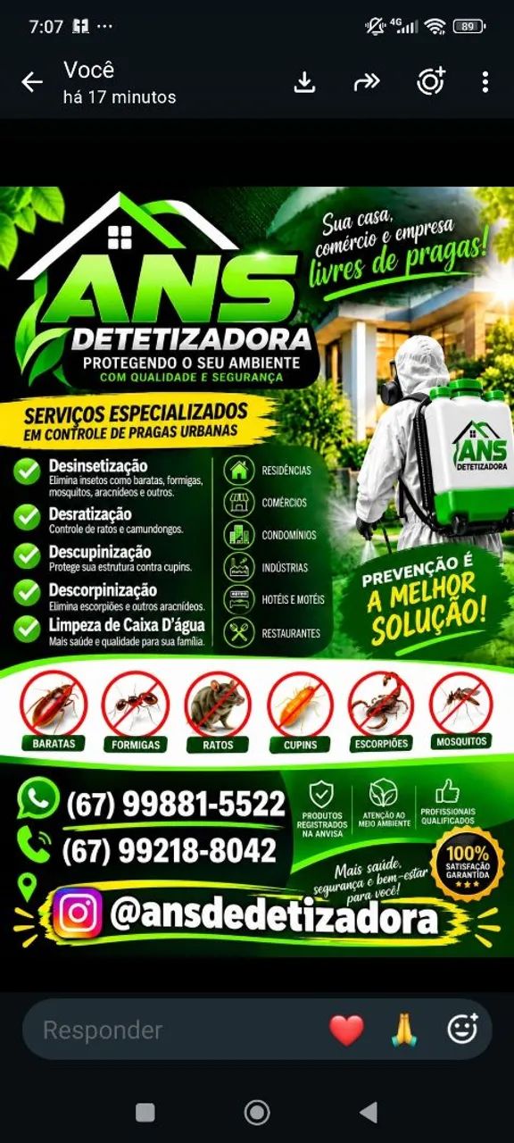  DEDETIZAÇÃO