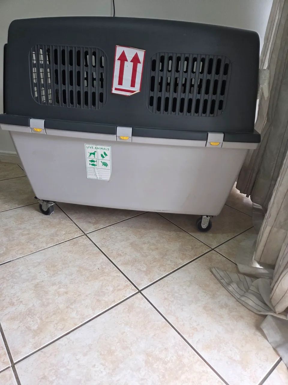 Caixa de Transporte Guliver