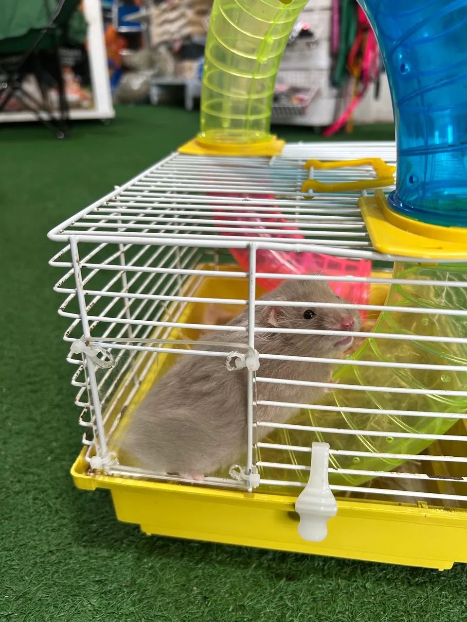 Gaiola com hamster  - Foto 5