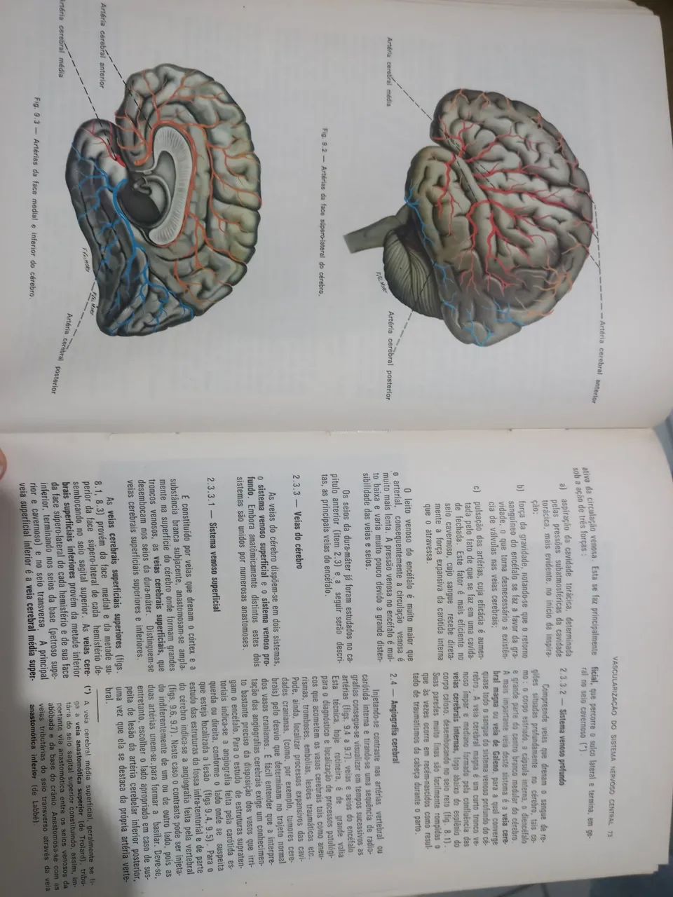 NEUROANATOMIA FUNCIONAL ANGELO MACHADO 1981 - Foto 5