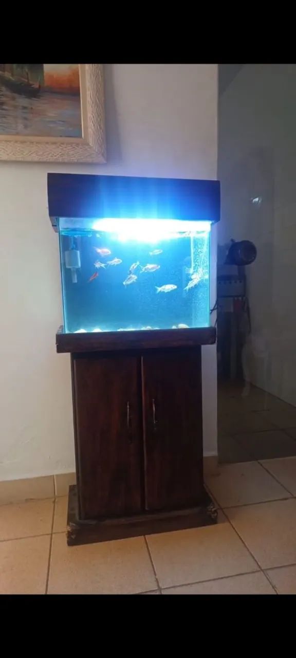 Aquario de 60litros com estante própria para suporte