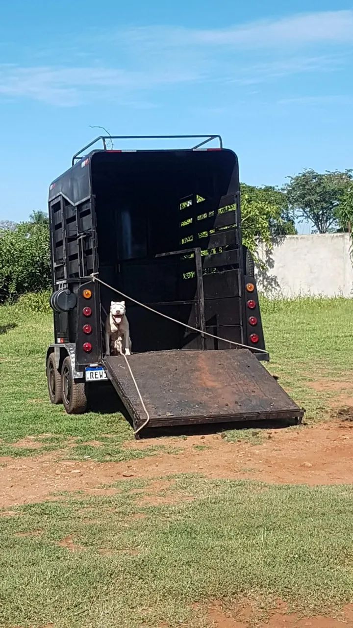 ? VENDO TRAILER PARA 2 CAVALOS ? - Foto 4
