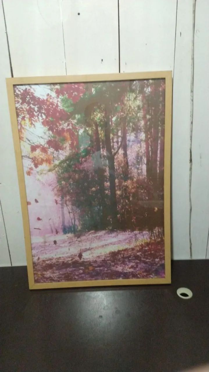 quadro decorativo  - Foto 2
