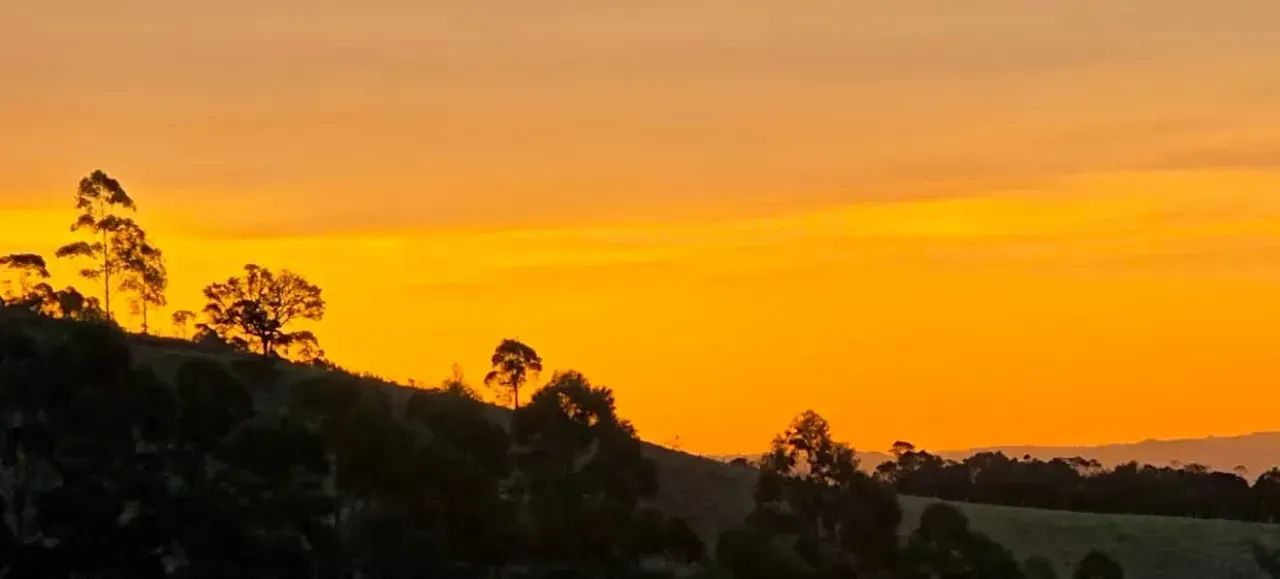 Alpes de monte verde