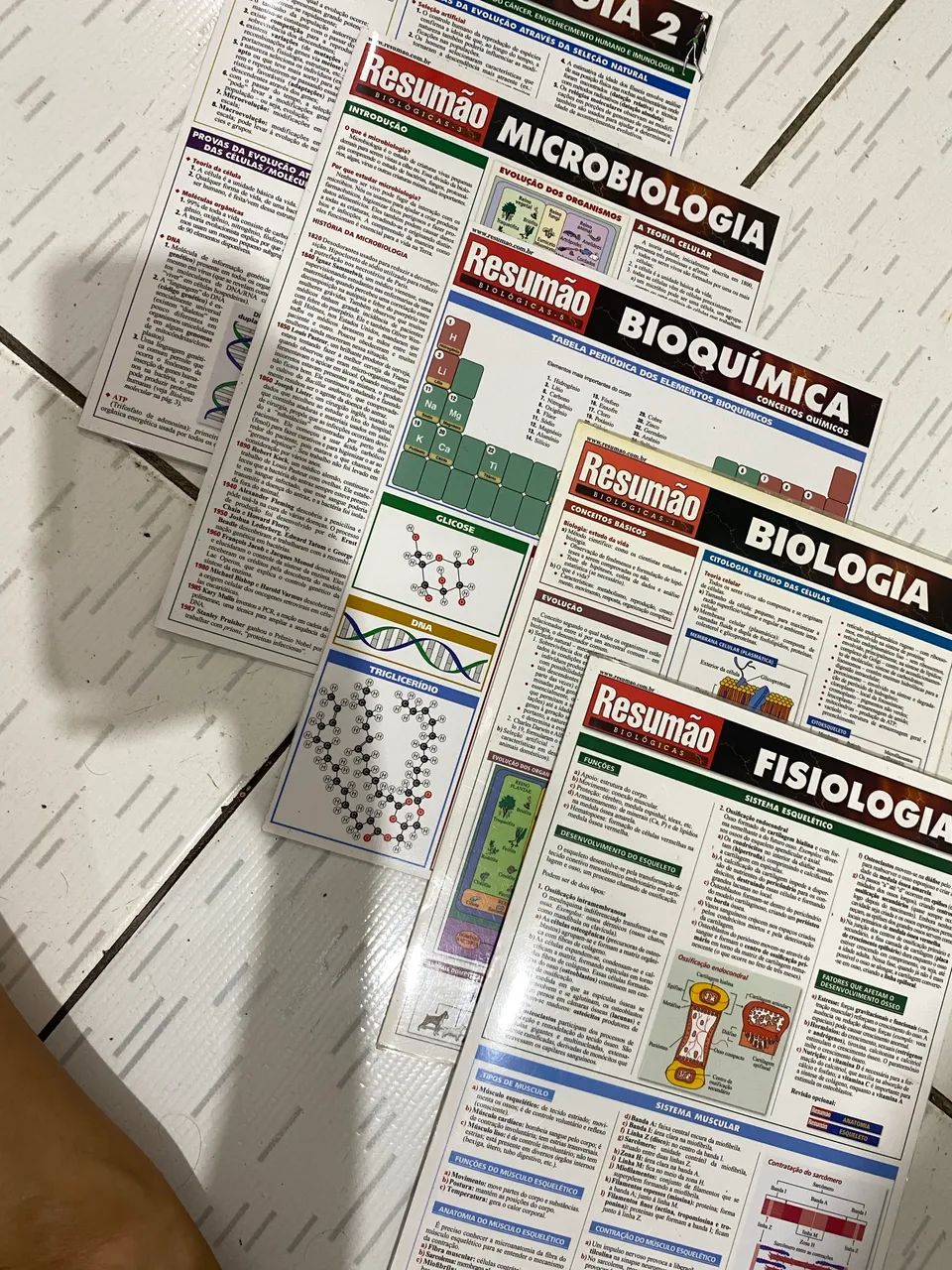 APOSTILA BIOLOGIA/MICROBIOLOGIA  - Foto 2