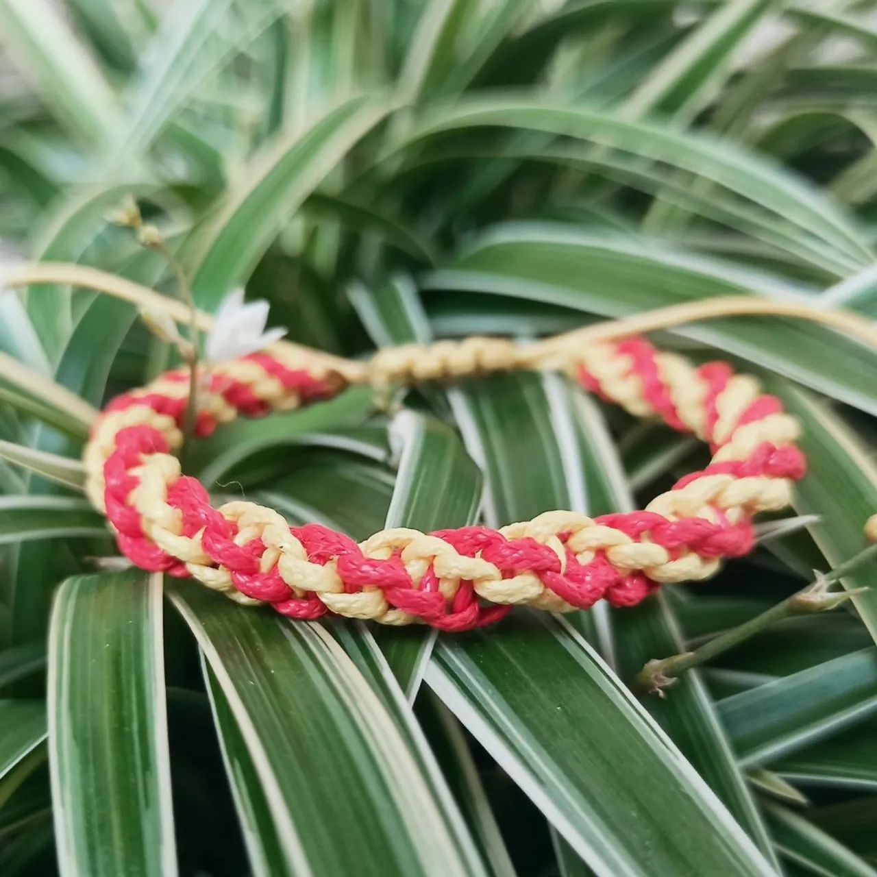 Pulseira em macrame tubular 2 cores - Foto 5