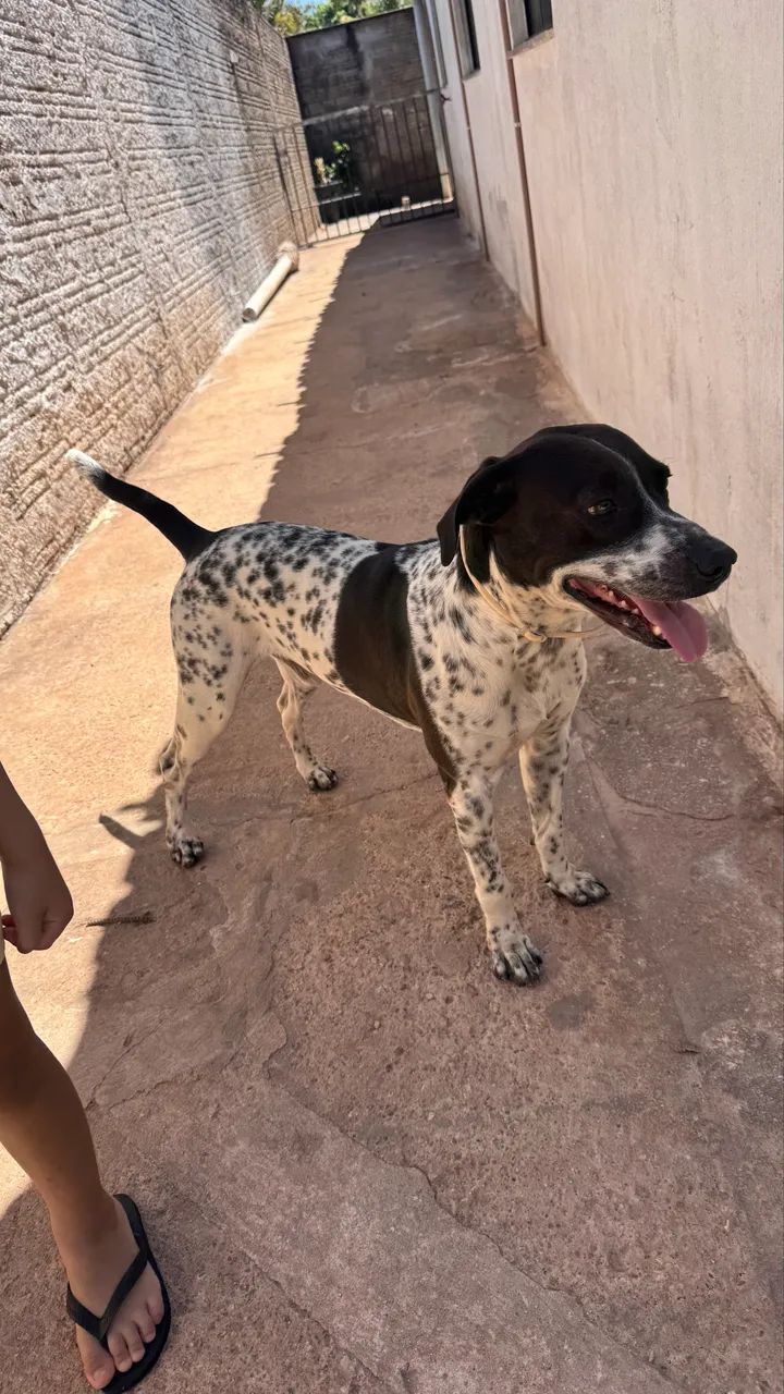 Doação 
