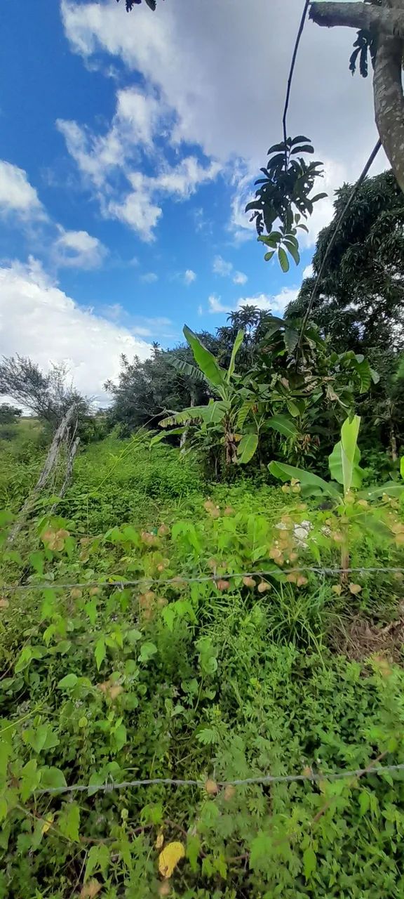 Vendo terreno no guajará 