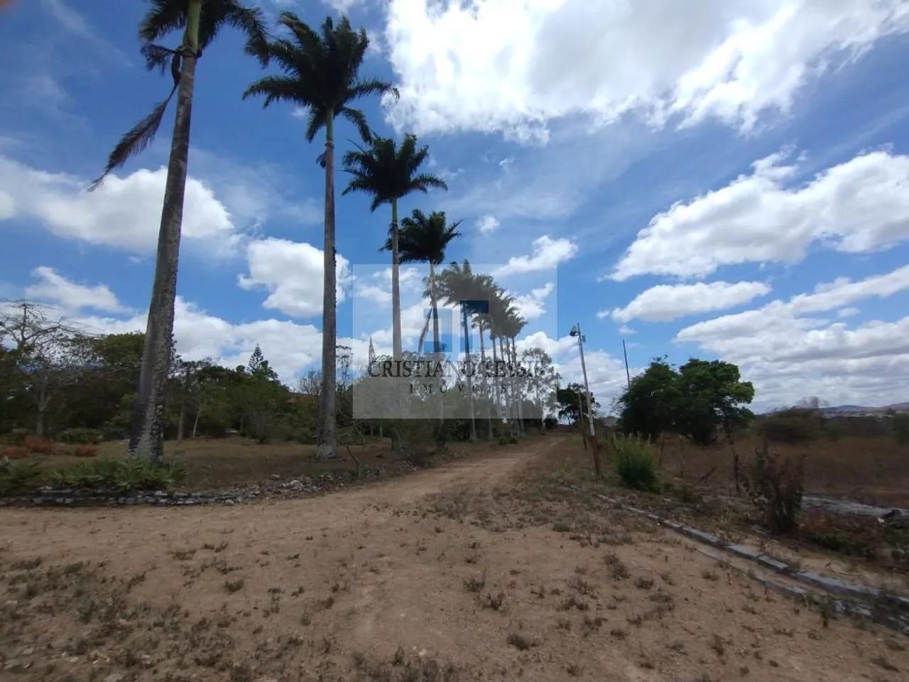 Fazenda Santa Zélia - Foto 3