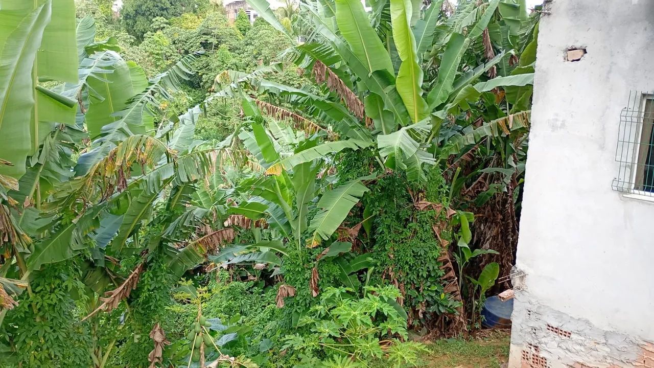 Terreno á venda em Mussurunga 