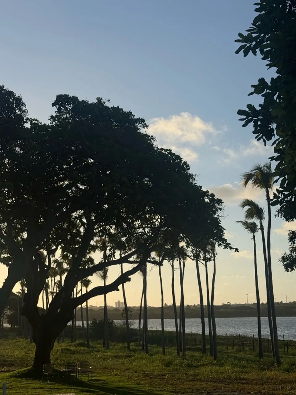 Lote frente lagoa - Vila dos Pássaros Eusébio  - Foto 2
