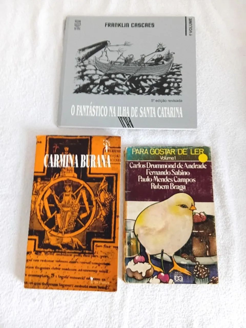 Kit 10 Livros de Literatura e Clássicos - Foto 4