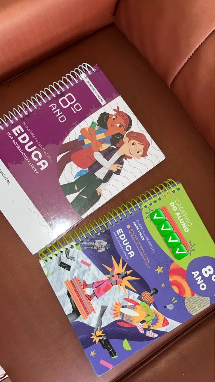 Livros socioemocional 