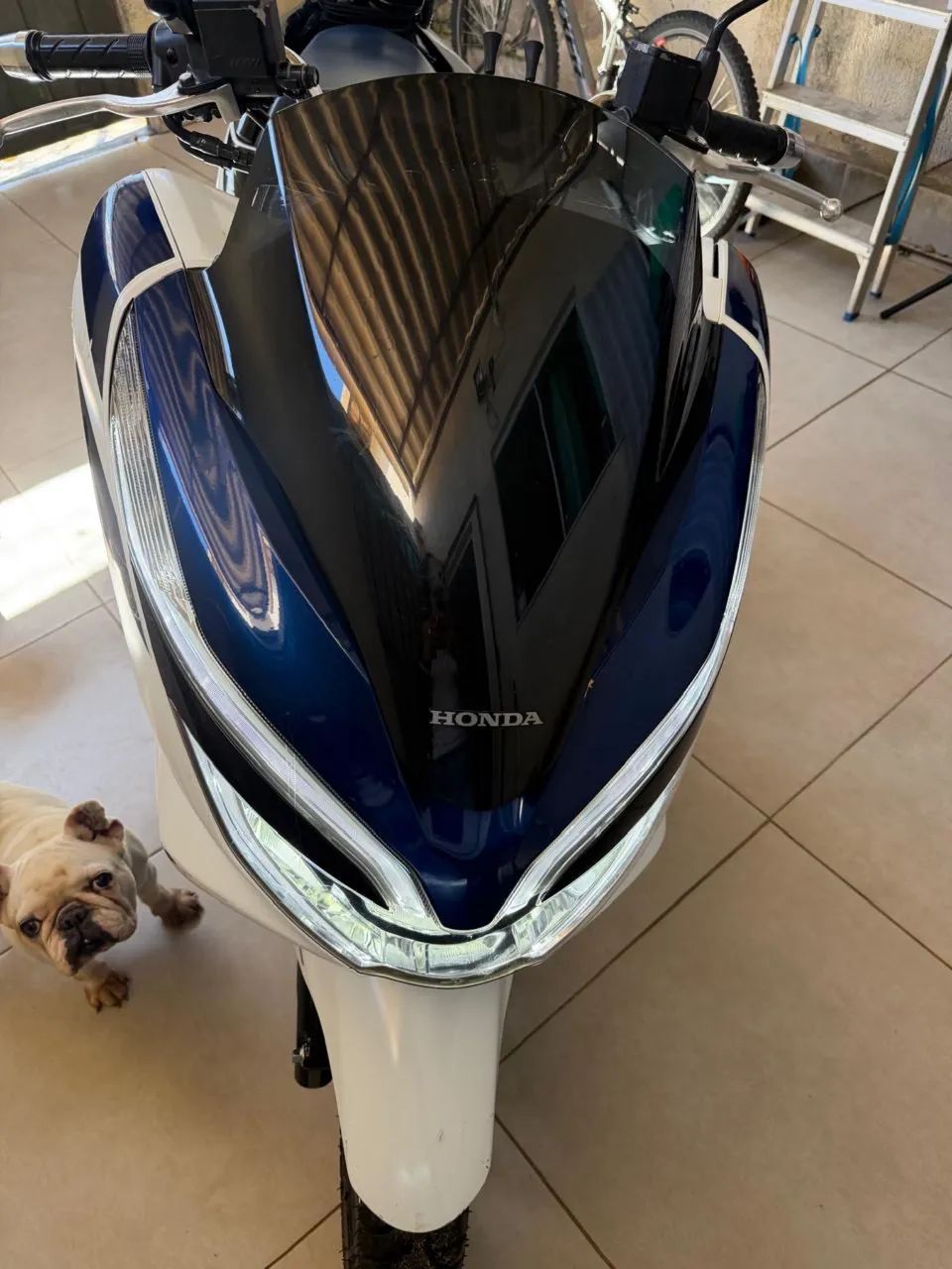 PCx Sport  - Foto 2