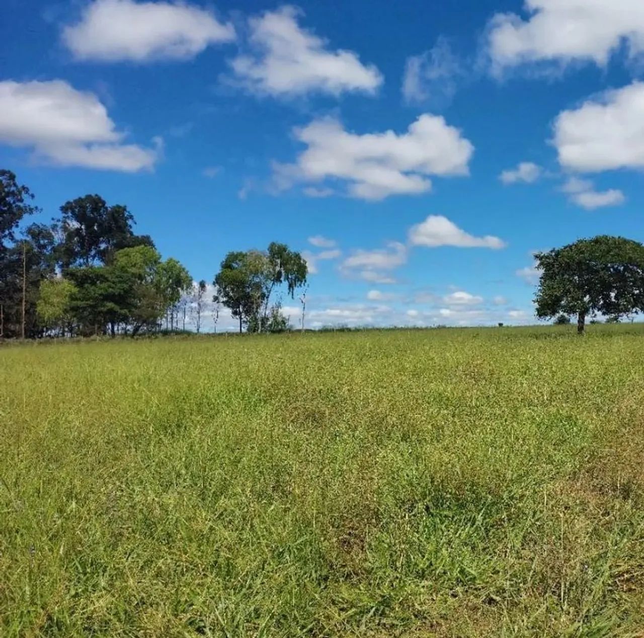 CHÁCARA 72.000 m² COM CÓRREGO, CASA E ENERGIA - GO-020 | BELA VISTA DE GOIÁS