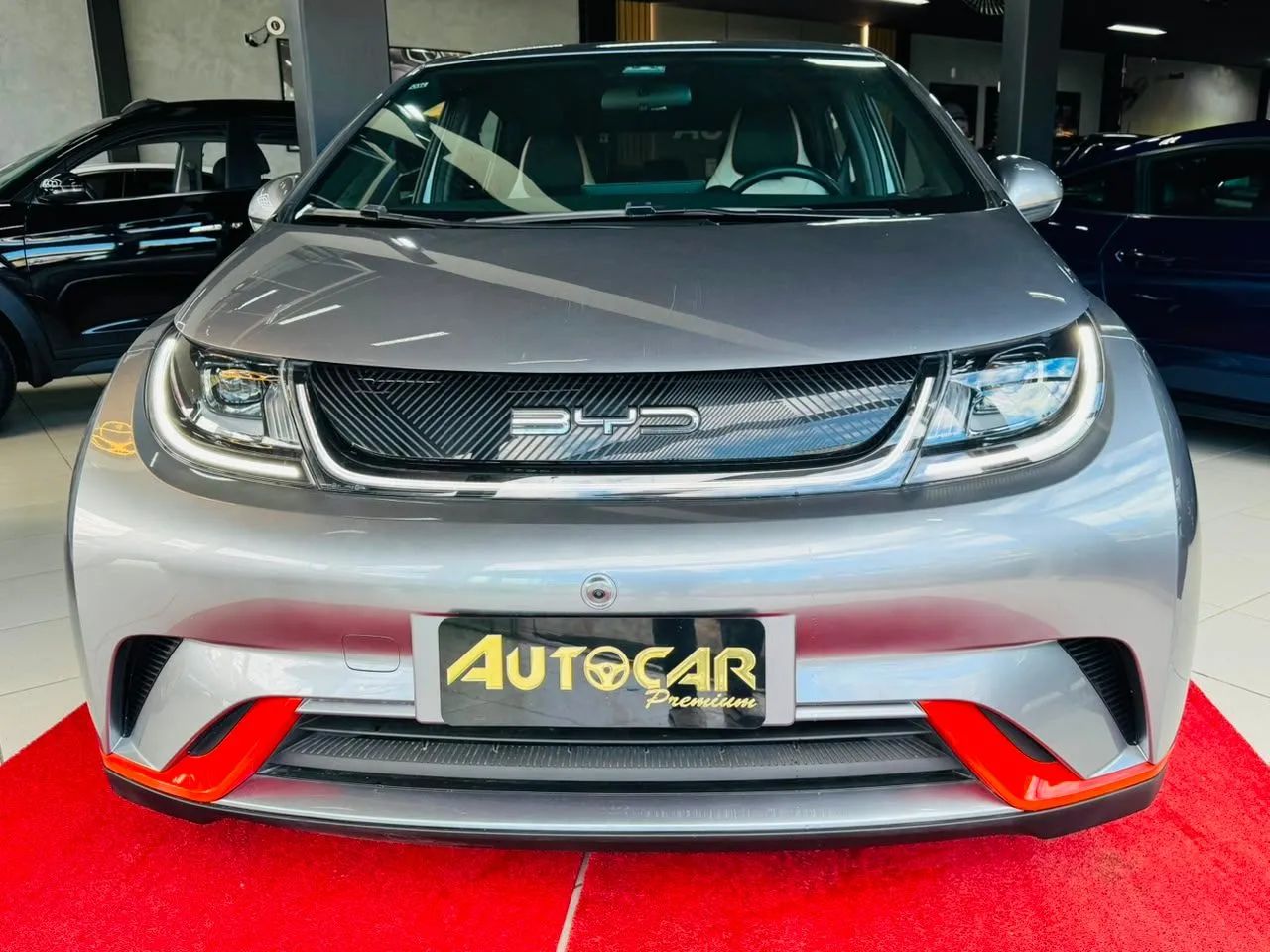BYD Dolphin EV (Elétrico) 2024 - Foto 2