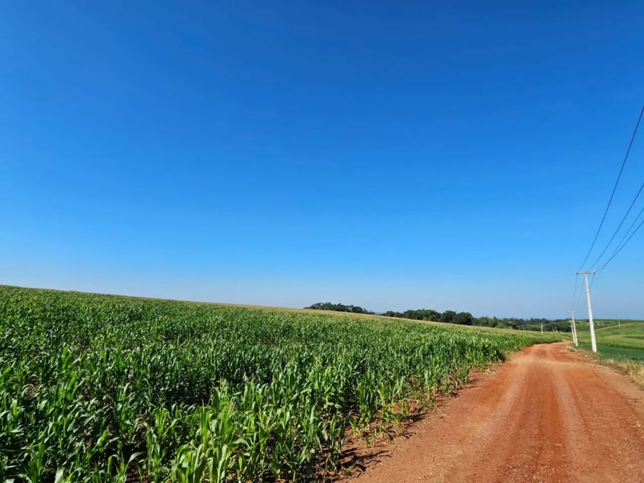 VENDA | Sítio, em Parque Industrial, Maringá - Foto 5