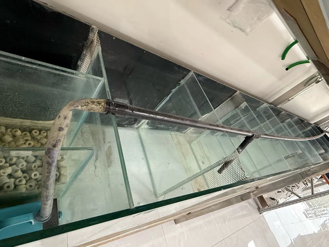 Galeria de aquário com sump  - Foto 2