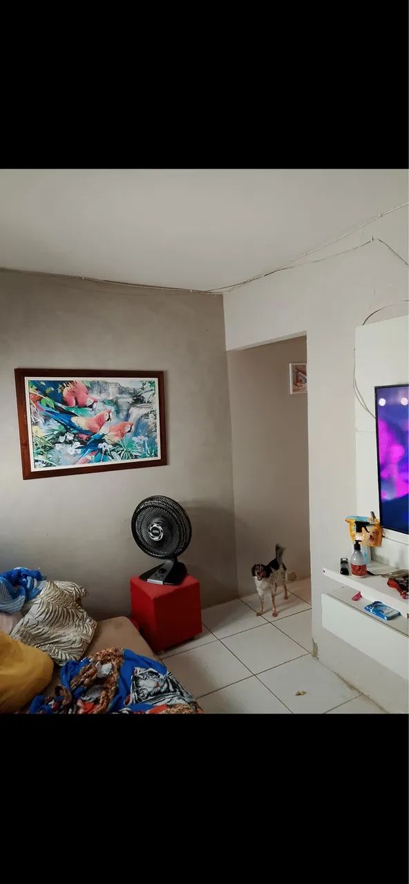 Casa pra vender logo  - Foto 5