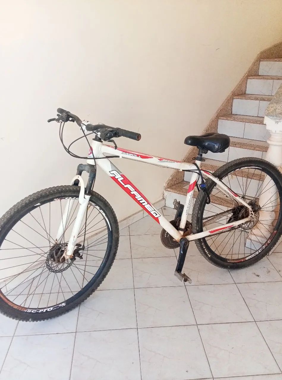 Bicicleta Aro 29