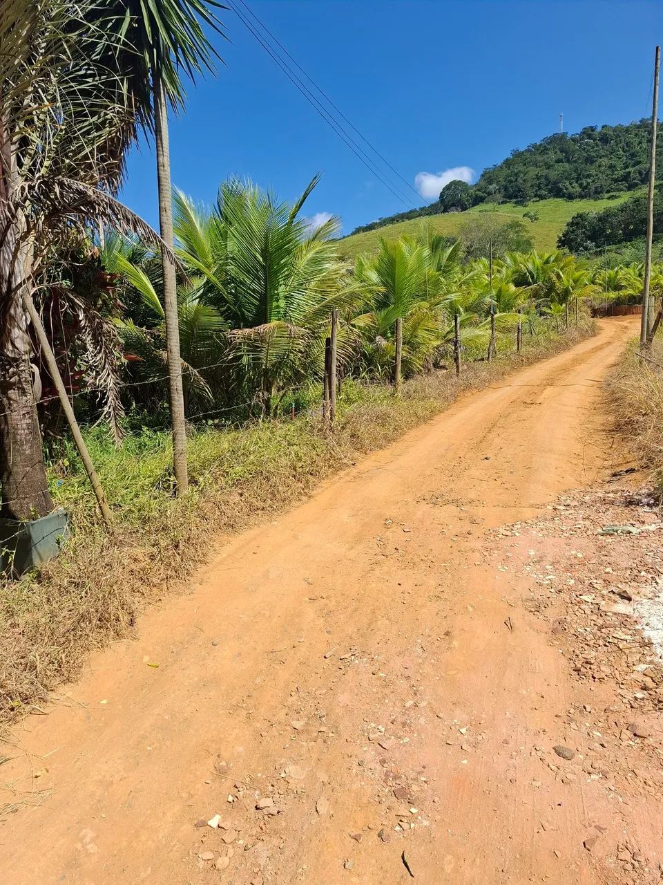 Terreno sítio laranjal  - Foto 2