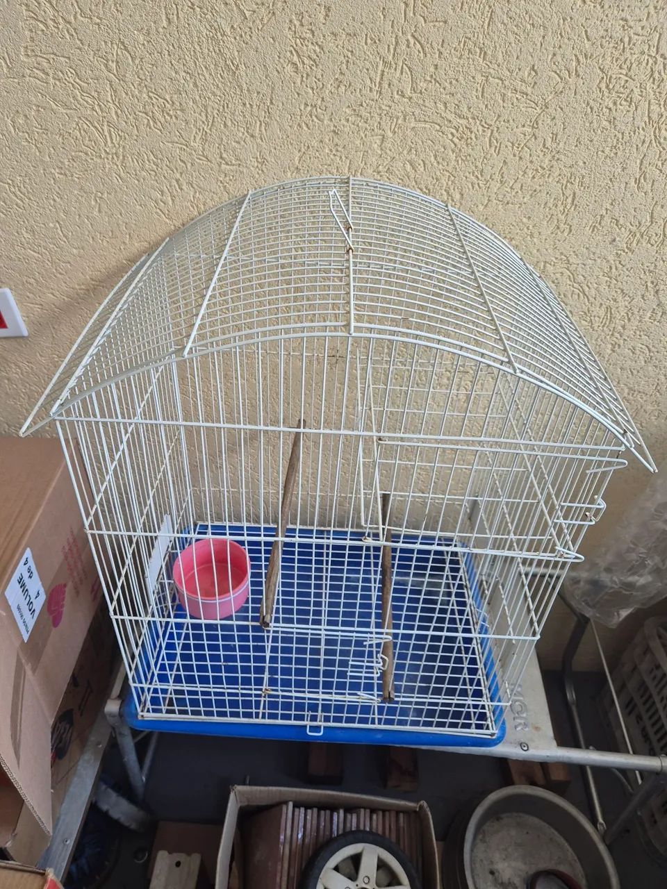 Gaiola409382513636157441