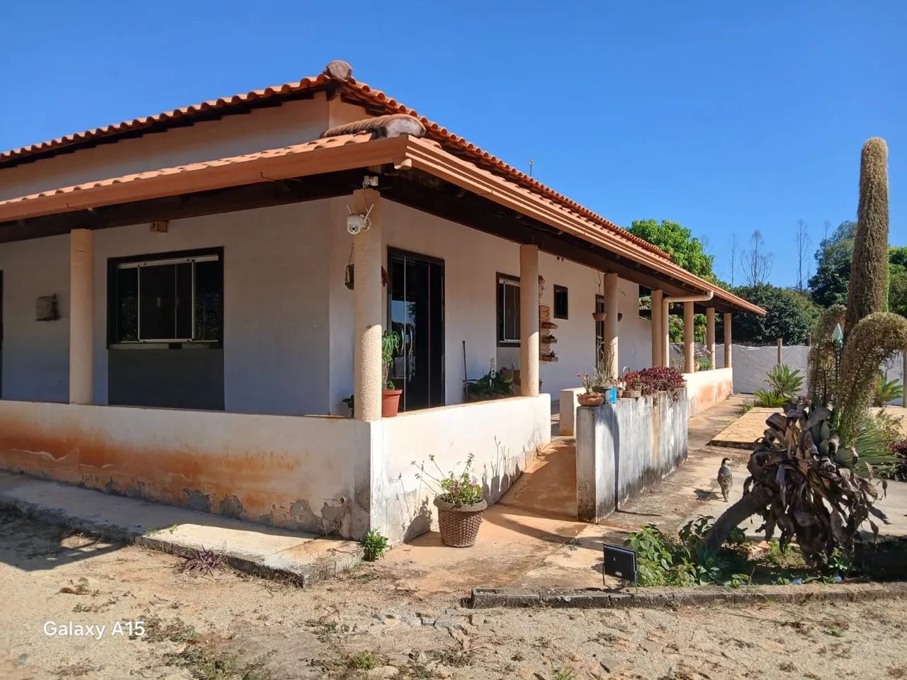 Sítio 2.400 m² com piscina e pomar em Bom Despacho MG - Foto 3