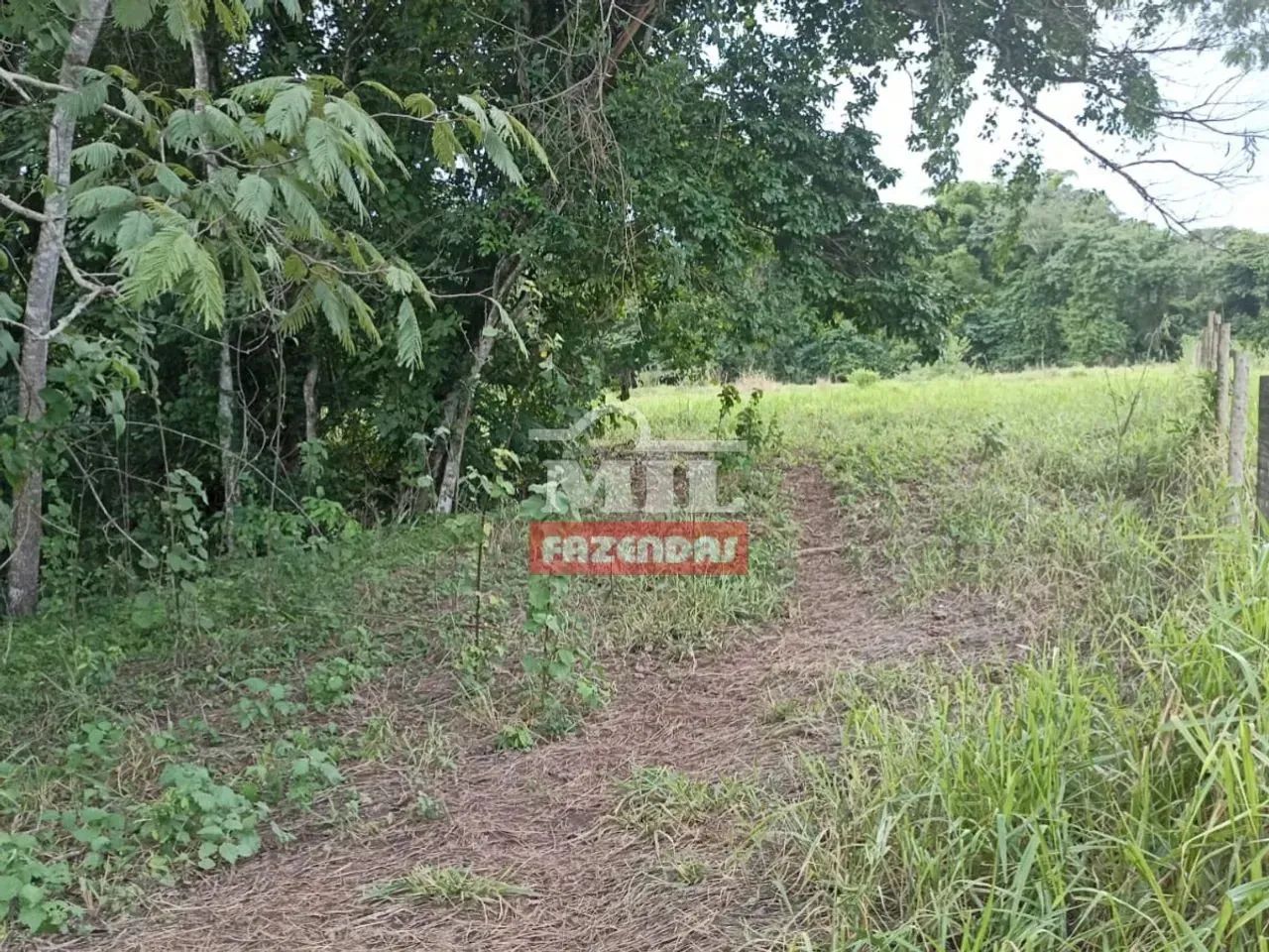 Chácara 22.500M² Itaberaí - Go - Foto 2