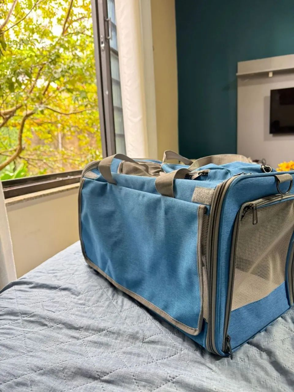 VENDO BOLSA DE TRANSPORTE AEREO PARA PETS