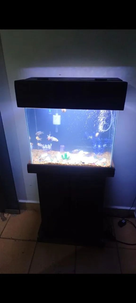 Aquario de 60litros com estante própria para suporte - Foto 2