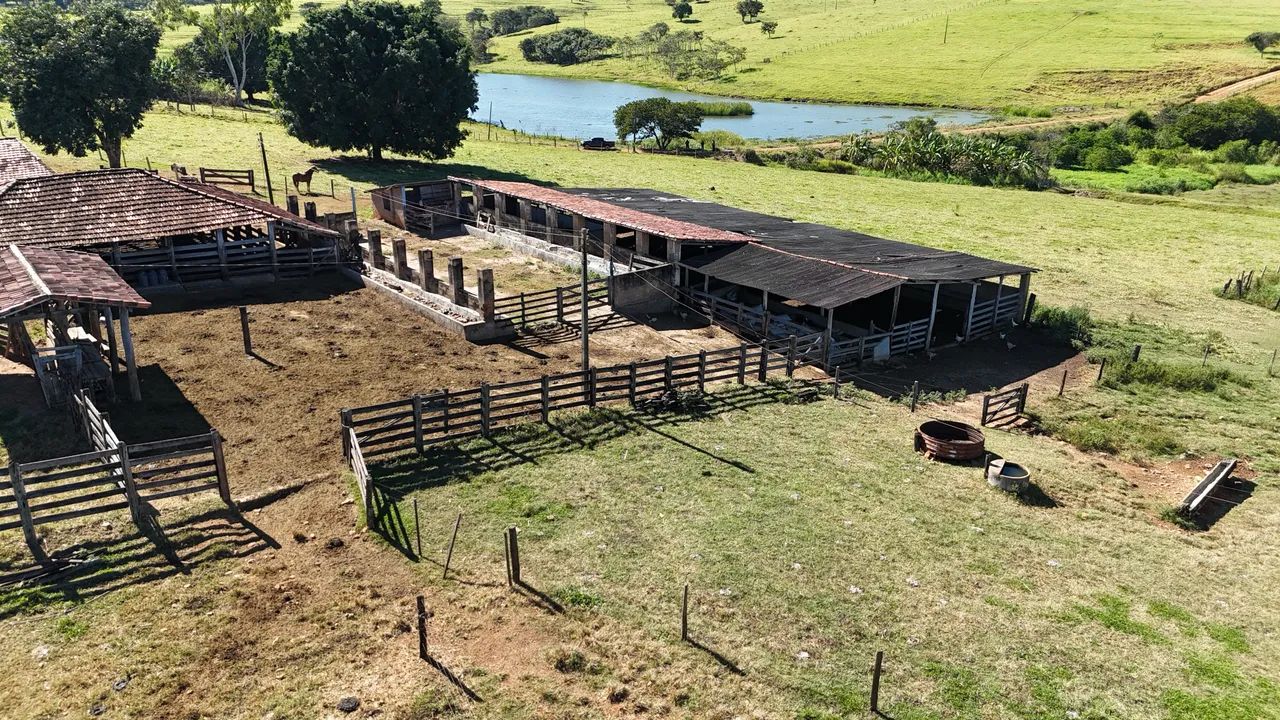 Fazenda próximo Goiânia-go - Foto 2