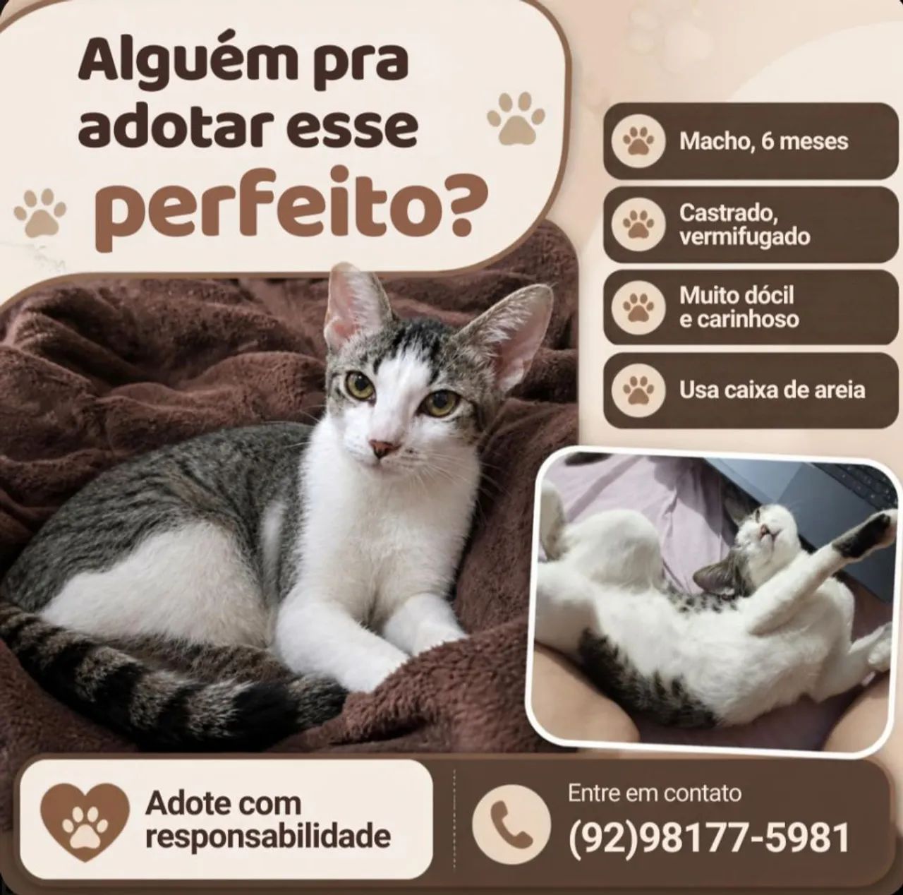 Adoção 