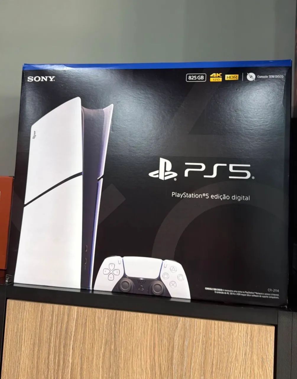 PLAYSTATION 5 MÍDIA DIGITAL 