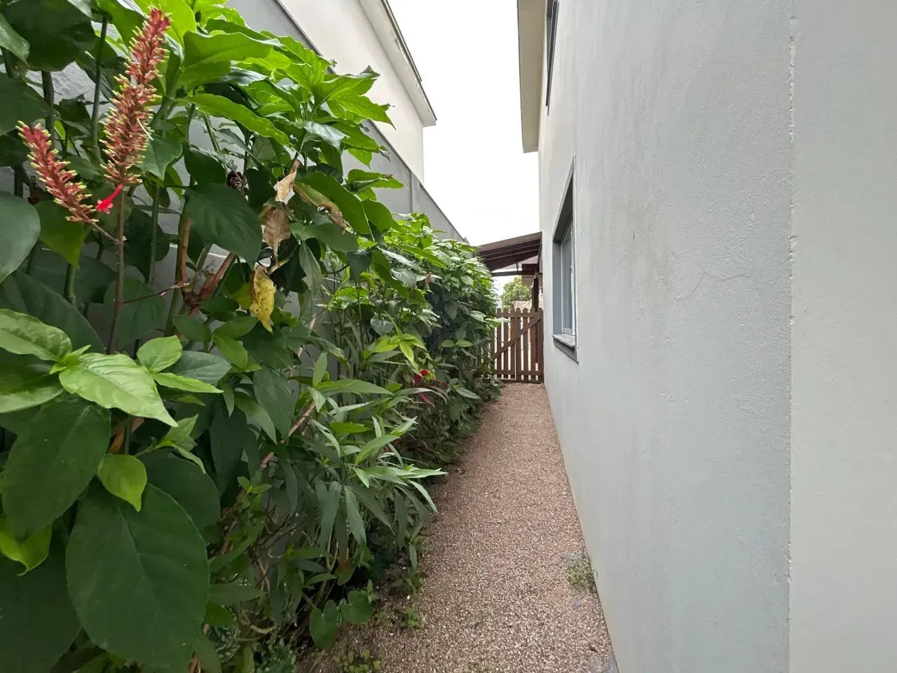Sobrado para aluguel no Campeche  3 dormitórios, suíte e 135 m² - Foto 2