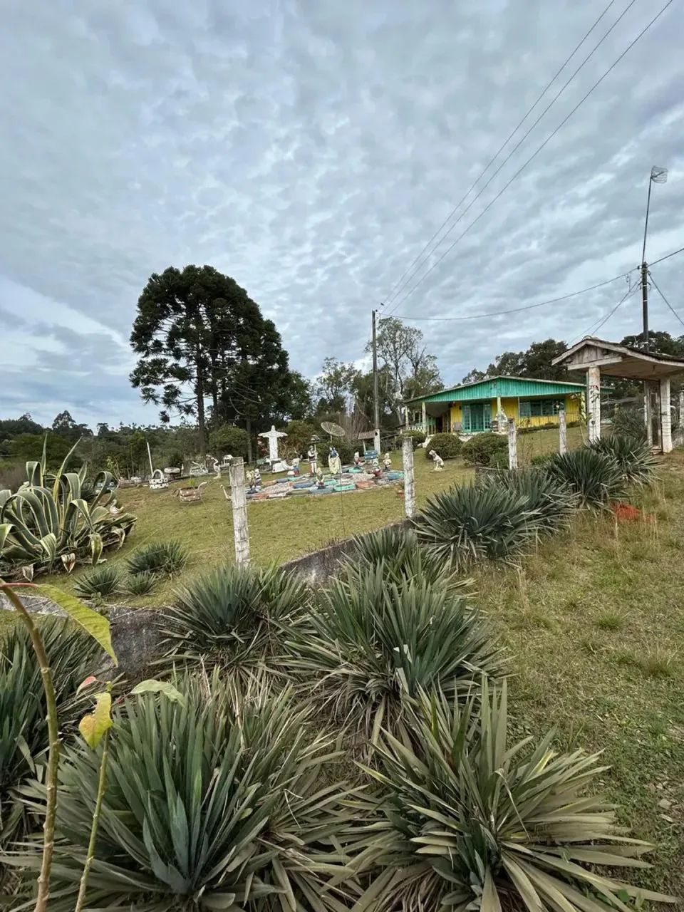 Chácara com Lago Privativo em Antonio Olinto - Foto 2