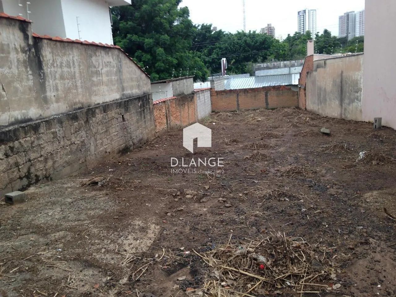 Terreno à venda em Campinas, Cambuí - Foto 4