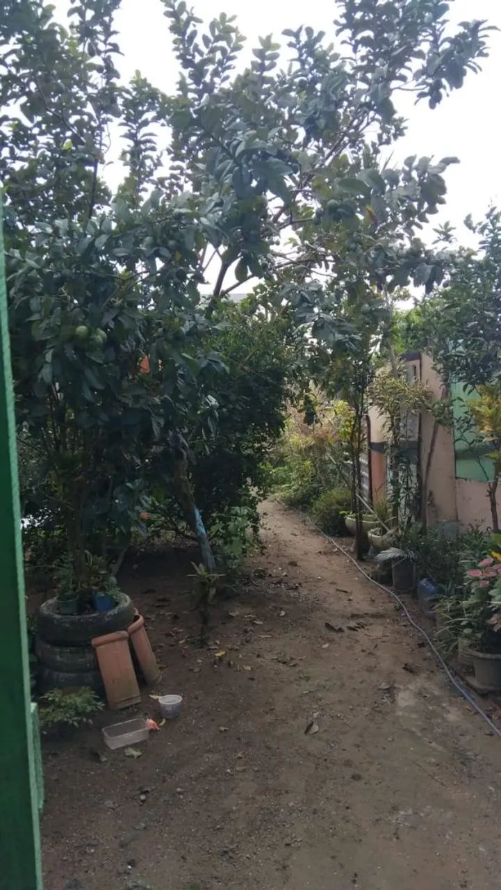 Vendo Terreno com casa - Foto 5