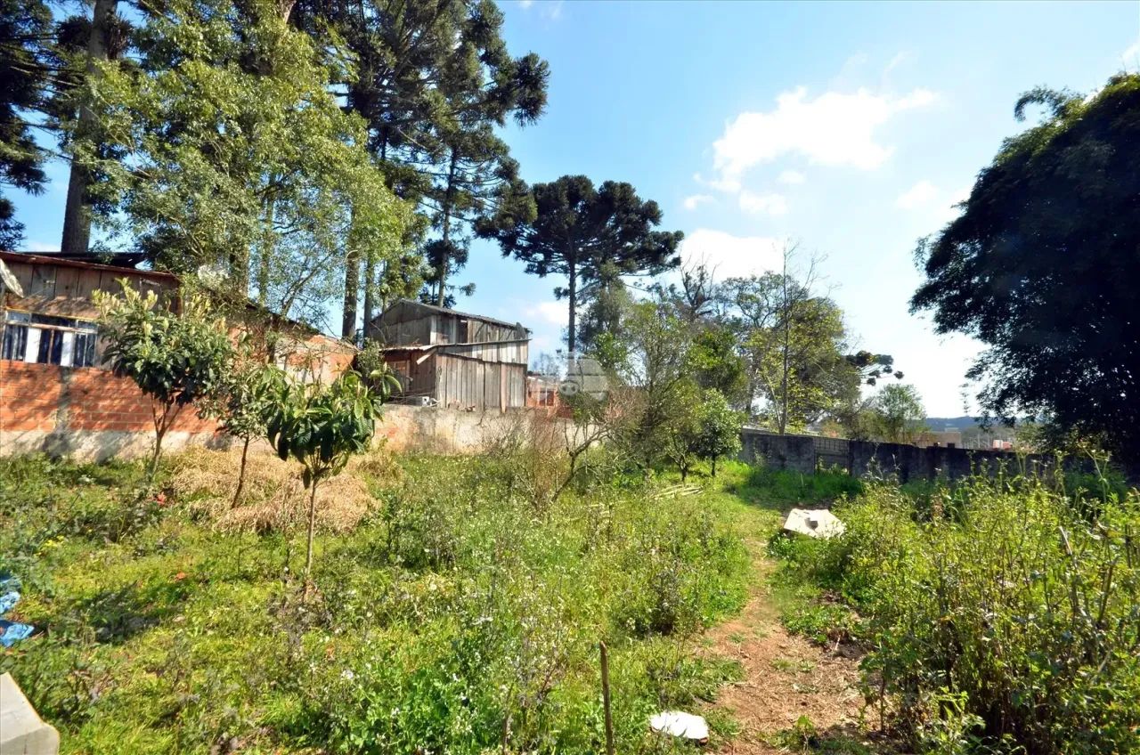 Terreno com uma Casa de 455m2 - Foto 2