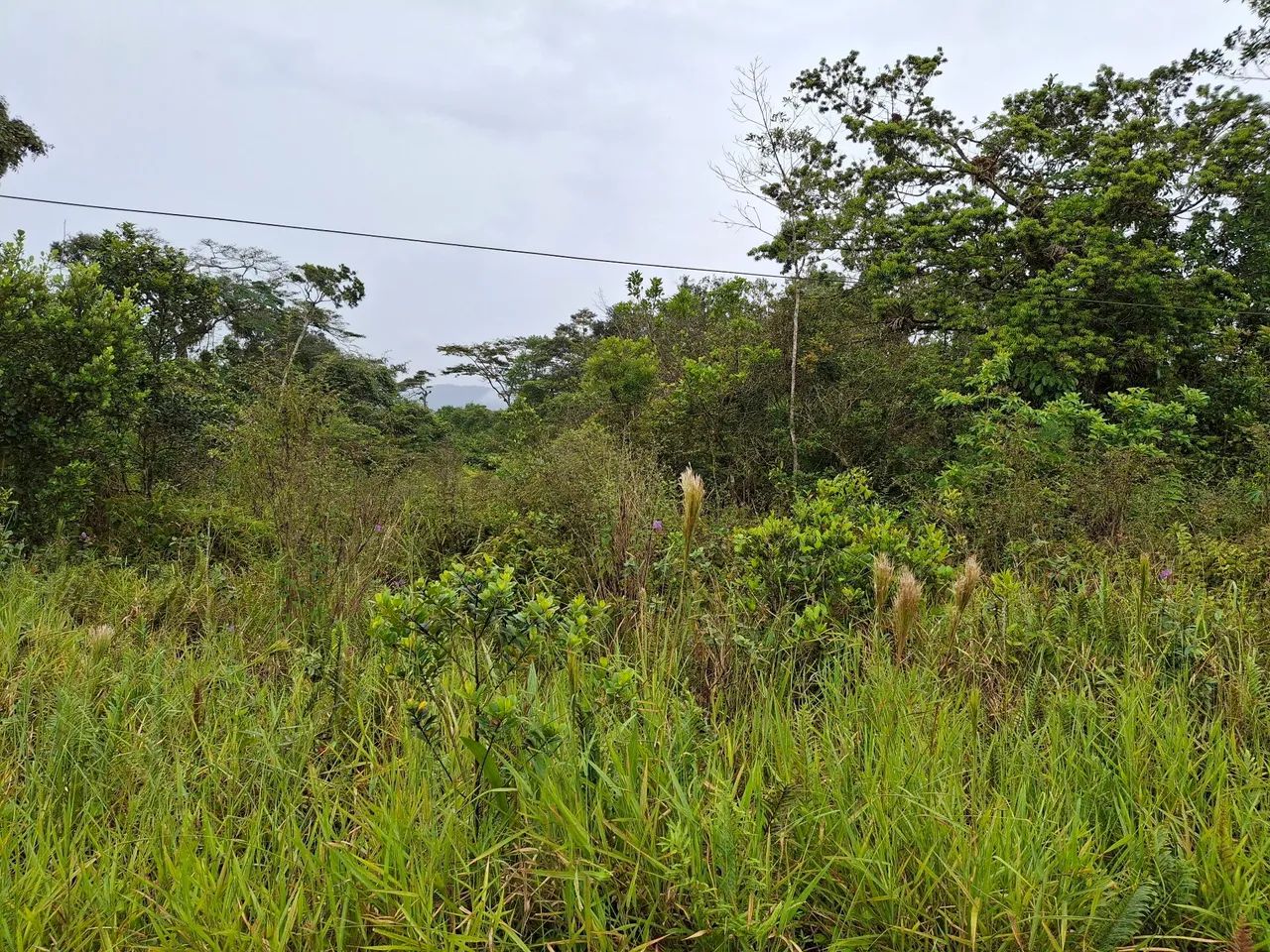 Foto - São Vicente - Parque Bitaru