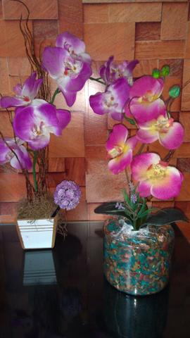 Orquídeas de mesa- Preço da unidade