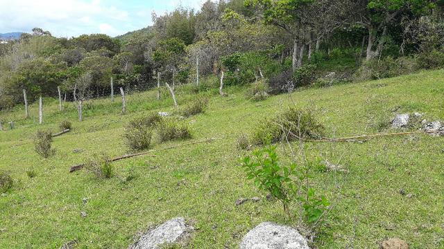 Terreno com vista para Praia do luz - Foto 8