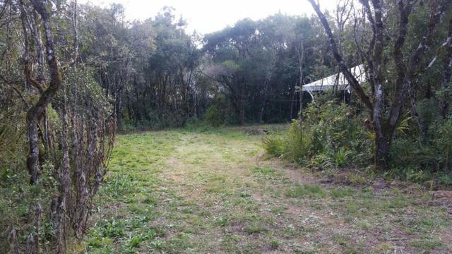 Troco x Apartamento - São José dos Pinhais R$169.000,00