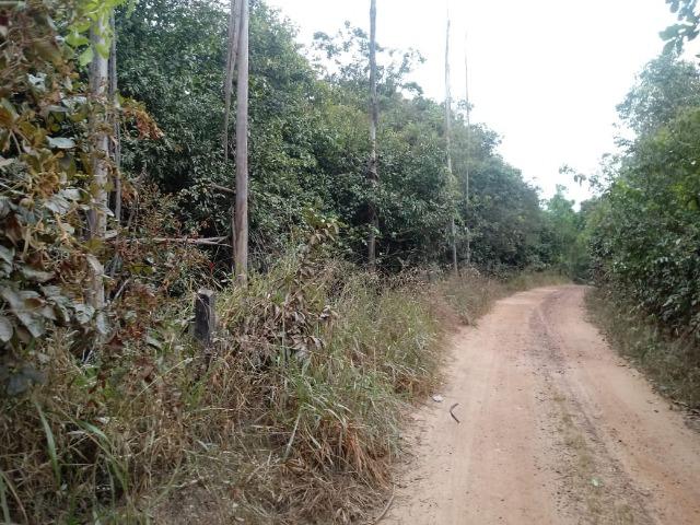 Chácara 2,5 alqueires mun Abadiânia - Foto 4