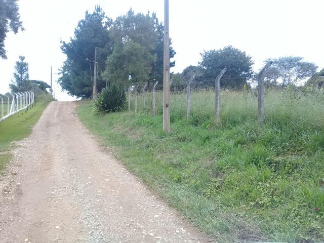 Terreno 15 min. de Piraquara/São Jose Só R$ 251.500,00 Ac. Troca 280 mil - Foto 7