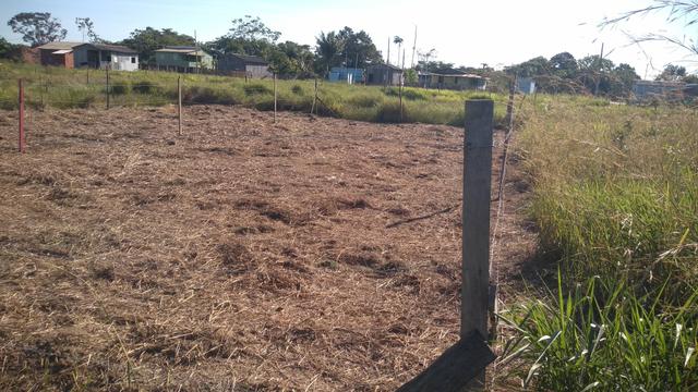 Terreno por 5.00,00 reais - Foto 4