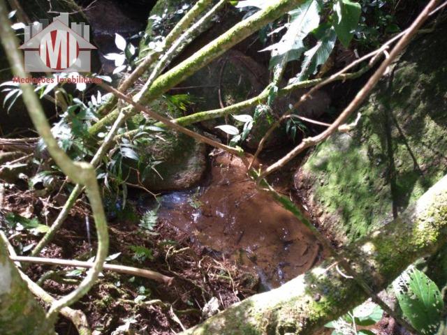 Lindo sítio com 02 alqueires, nascente, perto da cidade, piscina em Pedra Bela sp - Foto 11