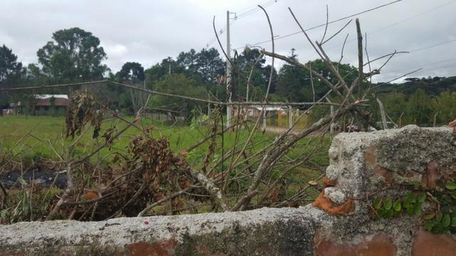 Chácara/bem localizada, de frente para Rodovia BR277 só R$3.499.000,00 - Foto 8