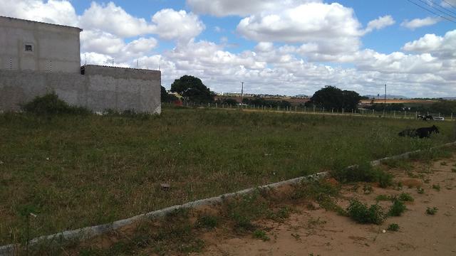 Terreno em Arapiraca - Foto 2